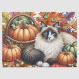 Fall Pumpkins Herbst Leaves Ragdoll Cat Seidenpapier