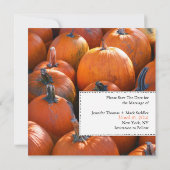 Fall Pumpkins Save the Date (Rückseite)