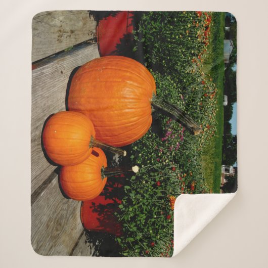 Fall Pumpkins und Mums auf Sherpadecke (Vorderseite)