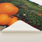 Fall Pumpkins und Mums auf Sherpadecke (3/4)
