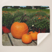 Fall Pumpkins und Mums auf Sherpadecke (Vorderseite (Horizontal))