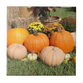 Fall Pumpkins und Mums Foto Fliese (Vorderseite)