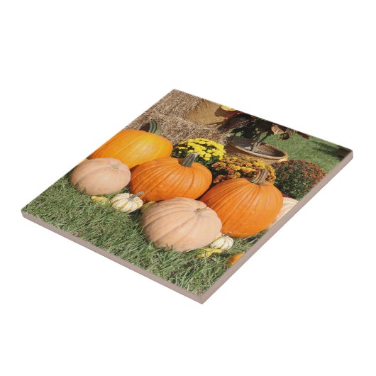 Fall Pumpkins und Mums Foto Fliese (Seite)