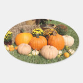 Fall Pumpkins und Mums Ovaler Aufkleber (Vorderseite)