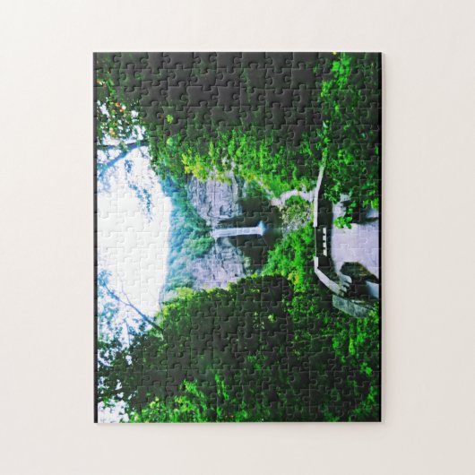 FALL-Puzzlespiel ULYSSES NEW YORK TAUGHANNOCK Puzzle (Vertikal)