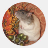 Fall Rat Stickers (Vorderseite)