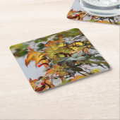 Fall Rechteckiger Pappuntersetzer (angewinkelt)