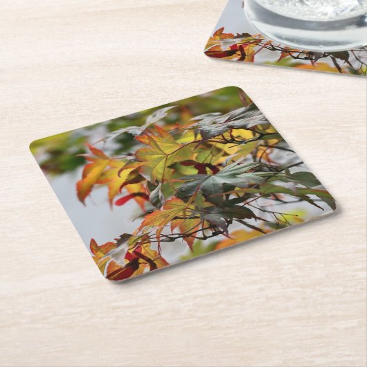 Fall Rechteckiger Pappuntersetzer (angewinkelt)