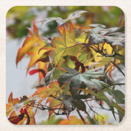 Fall Rechteckiger Pappuntersetzer