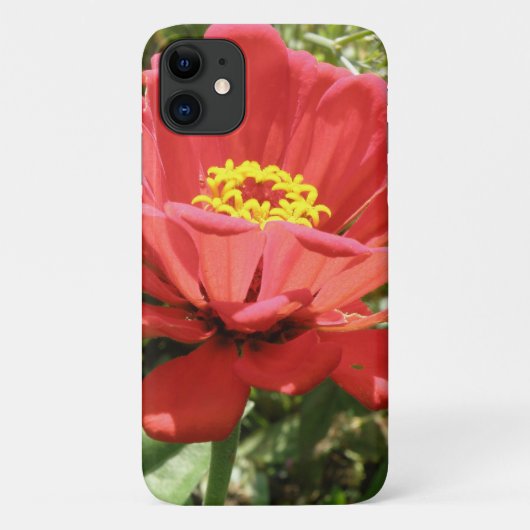Fall Red Zinnia iPhone 3 Case-Mate iPhone Hülle (Rückseite)