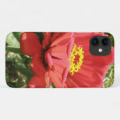 Fall Red Zinnia iPhone 3 Case-Mate iPhone Hülle (Rückseite (Horizontal))