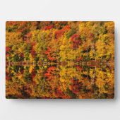 Fall Reflektion über den Russell-Teich | New Hamps Fotoplatte (Vorderseite)
