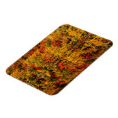 Fall Reflektion über den Russell-Teich | New Hamps Magnet (Linke Seite)