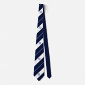 Fall River (Massachusetts) Stadtflagge Neck Tie Krawatte (Vorderseite)
