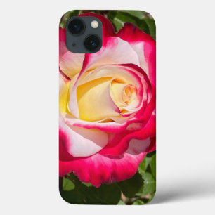 Fall Rot und Gelb Rose Case-Mate Telefon iPhone Hülle