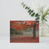 Fall-Rotahorn-Baum - Postkarte (Stehend Vorderseite)