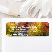 Fall-Rücksendeadresse (Insitu)