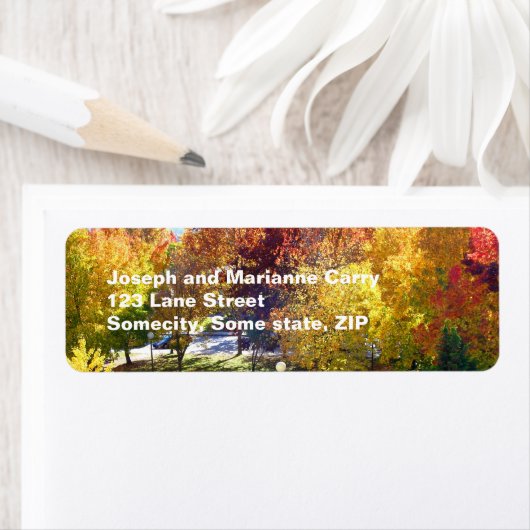 Fall-Rücksendeadresse (Insitu)