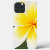 Fall Samsung: plumeria Case-Mate Case-Mate iPhone Hülle (Rückseite)