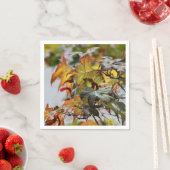 Fall Serviette (Beispiel)
