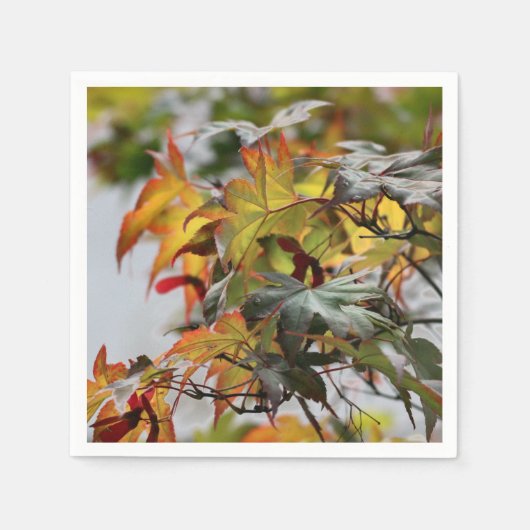 Fall Serviette (Vorderseite)