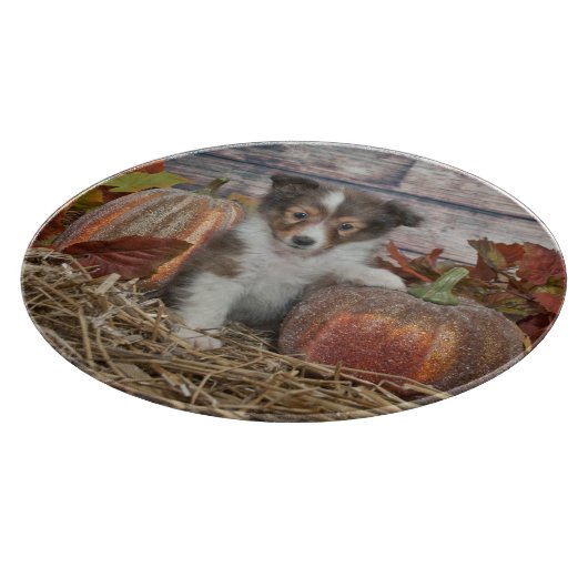 Fall Sheltie Puppy Schneidebrett (Ecke)