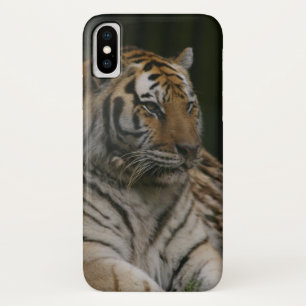 Fall Siberian Tiger Case-Mate iPhone Case-Mate iPhone Hülle