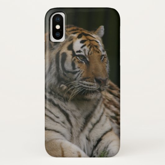 Fall Siberian Tiger Case-Mate iPhone Case-Mate iPhone Hülle (Rückseite)