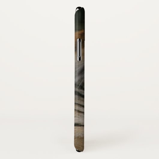 Fall Siberian Tiger Case-Mate iPhone Hülle (Hinten/Rechts)