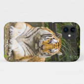 Fall Siberian Tiger Tigress Case-Mate iPhone Hülle (Rückseite (Horizontal))