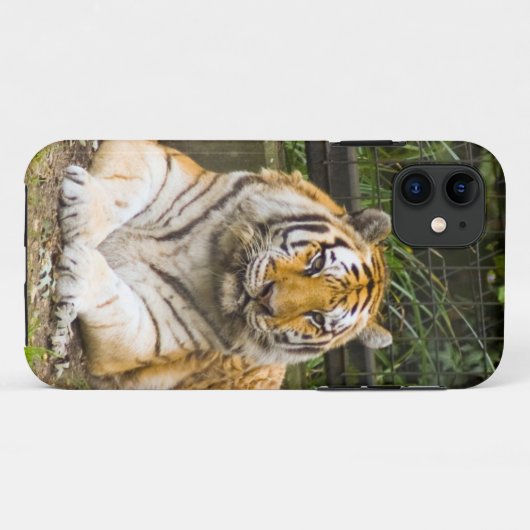 Fall Siberian Tiger Tigress Case-Mate iPhone Hülle (Rückseite (Horizontal))
