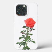 Fall: Single Rosa Rose Case-Mate iPhone Hülle (Rückseite)