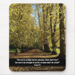 Fall, sonnenbeleuchtete Waldlandschaft Mousepad