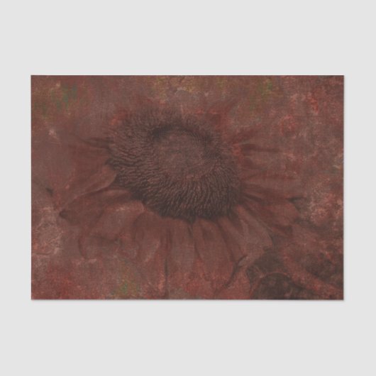 Fall Sonnenblume Vintag Dunkelrost Grunge Textur Seidenpapier (Vorderseite)