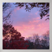 Fall Sonnenuntergang über Bäumen schön Poster (Vorne)