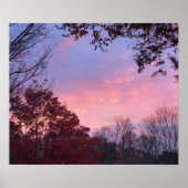 Fall Sonnenuntergang über Bäumen schön Poster (Vorne)