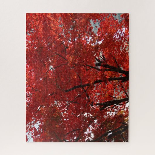 Fall Splendor of the Red Tree Blätter Puzzle (Vertikal)