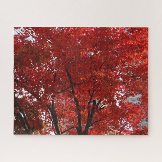 Fall Splendor of the Red Tree Blätter Puzzle (Horizontal)