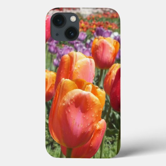 Fall Spring Tulips iPad Air Case-Mate iPhone Hülle (Rückseite)