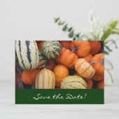 Fall Squash Harvest Save the Date Karte (Stehend Vorderseite)