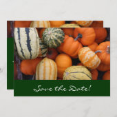 Fall Squash Harvest Save the Date Karte (Vorne/Hinten)