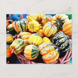 Fall Squash Postkarte