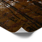 Fall Stehend Tal Poster (Ecke)