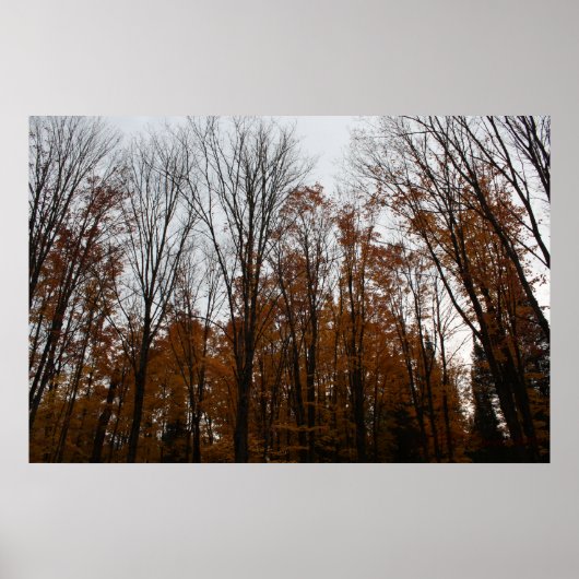 Fall Stehend Tal Poster (Vorne)