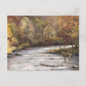 Fall Stream Art Postkarte (Vorderseite)