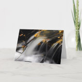 FALL STREAM: Der Frühling des Lernens Karte (Vorderseite)