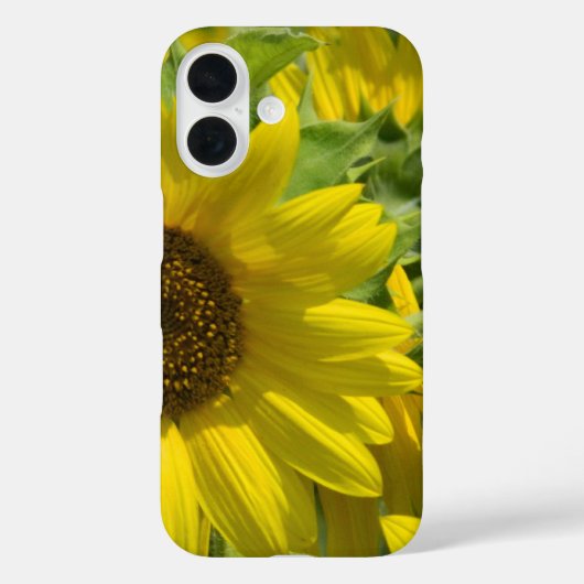 Fall Sunflower Garden iPhone Case-Mate iPhone Hülle (Rückseite)