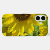 Fall Sunflower Garden iPhone Case-Mate iPhone Hülle (Rückseite (Horizontal))
