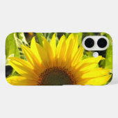 Fall Sunflower Glow iPhone Case-Mate iPhone Hülle (Rückseite (Horizontal))