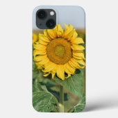 Fall Sunflower iPhone 13 Case-Mate iPhone Hülle (Rückseite)